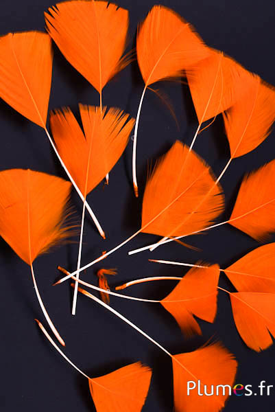 Petali in piume - 6-8 cm x 3-4 cm - arancioni 